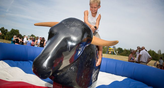 taureau et rodéo mécanique