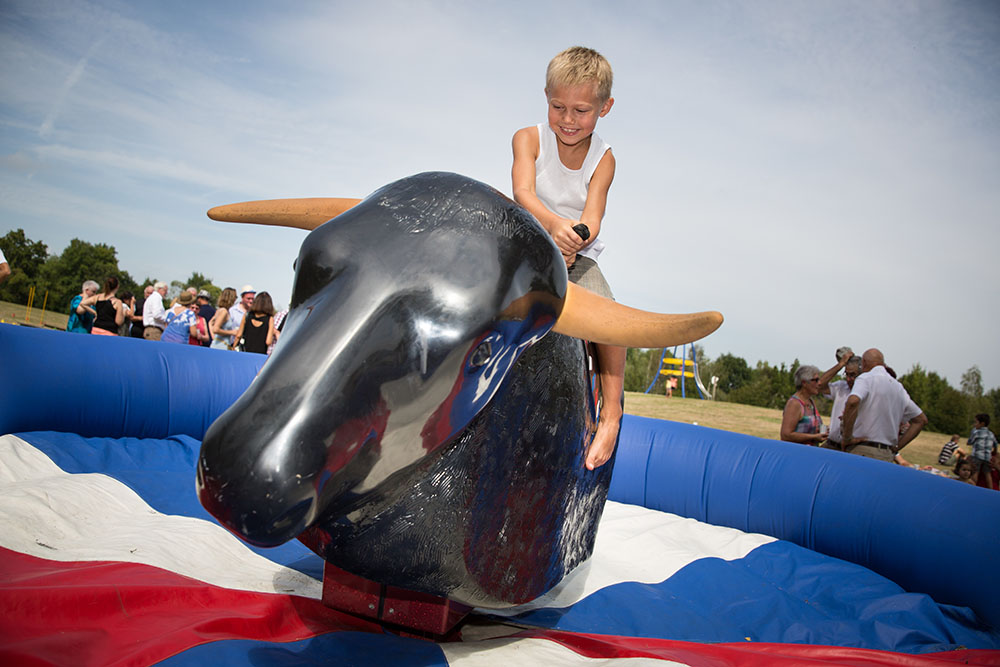 taureau et rodéo mécanique