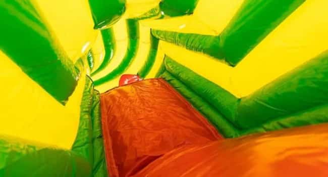 Tunnel Crocodile